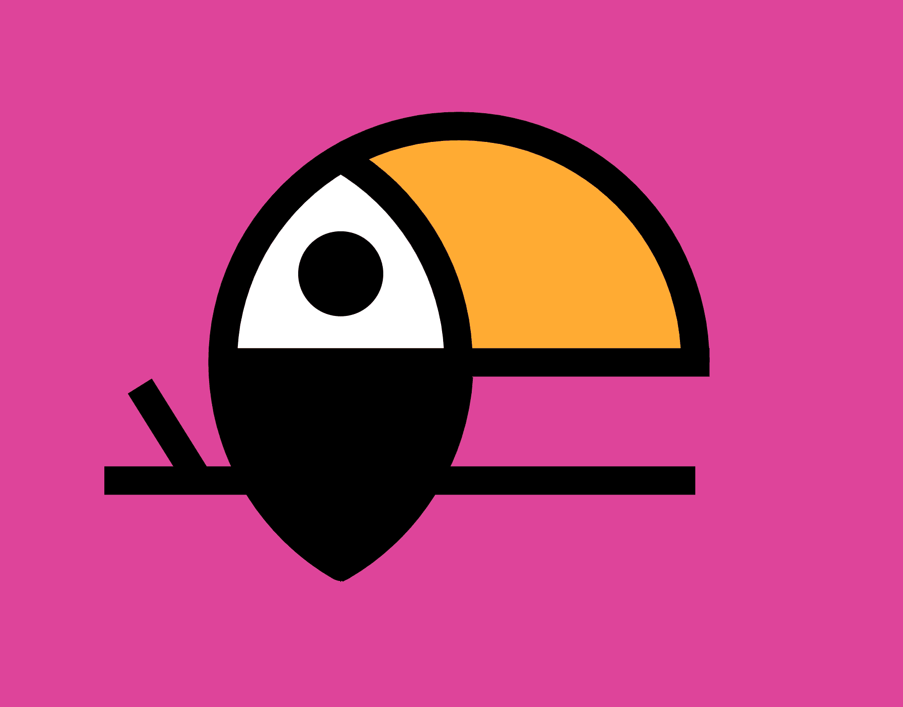 Toucan